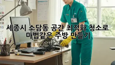 세종시 소담동, 공간 최적화 청소로 ✨마법같은 주방✨ 만들기!